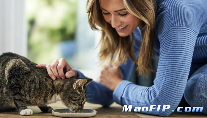 猫传腹可以吃罐头吗