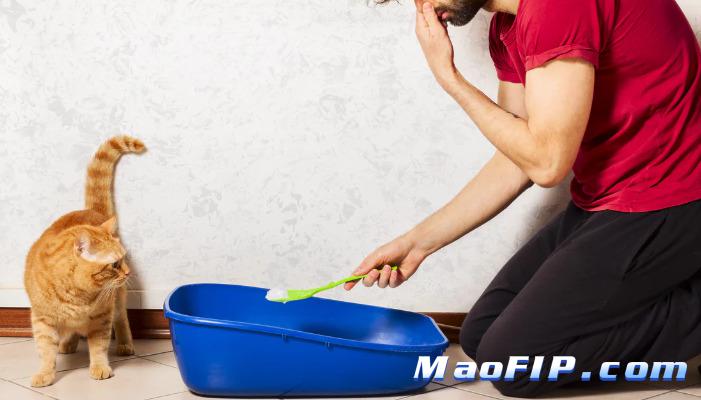 猫传腹用药会不会有副作用