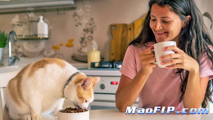 猫咪状态差但检查不明显是传腹吗