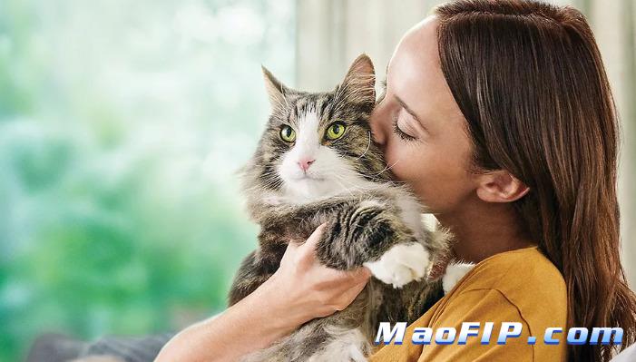 猫传染性腹膜炎怎么引起的呢