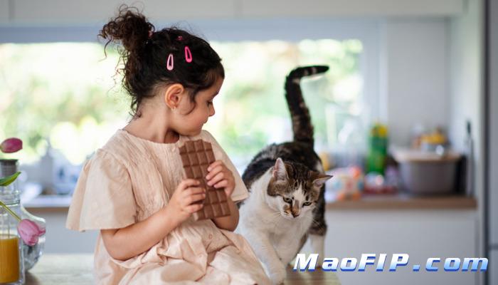 猫传腹(FIP)有什么并发症