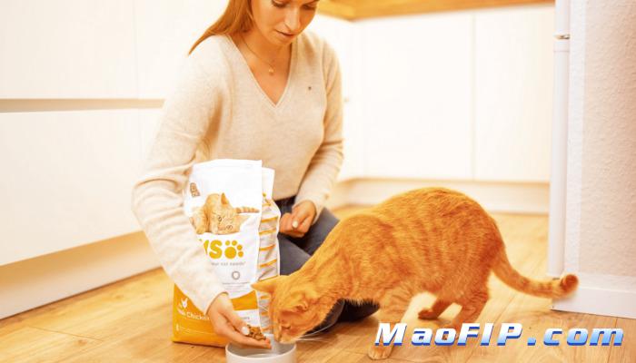 猫传腹GS-441524治疗复发后还有希望吗