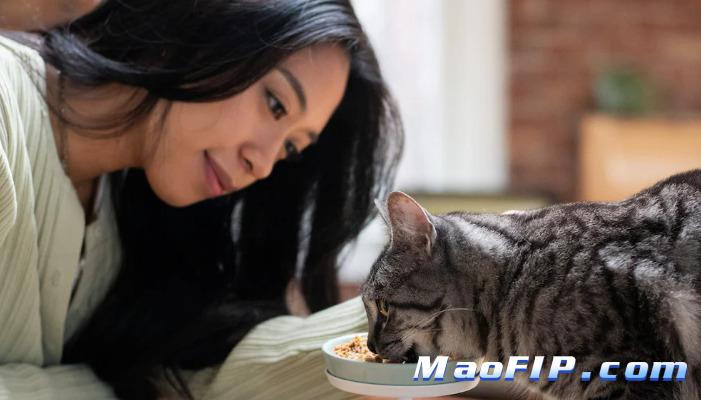 猫传染性腹膜炎病程描述