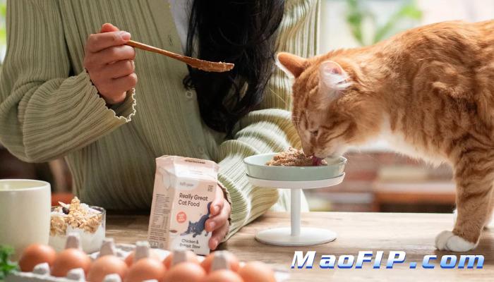 猫为什么会得猫传腹