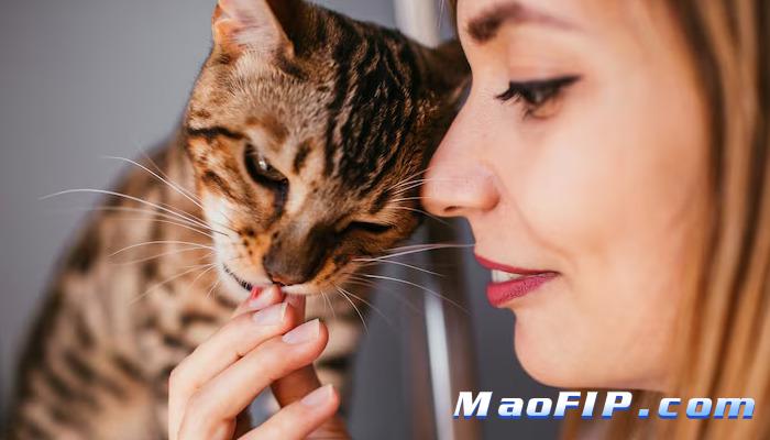 猫咪腹水症状怎么诊断是不是传腹