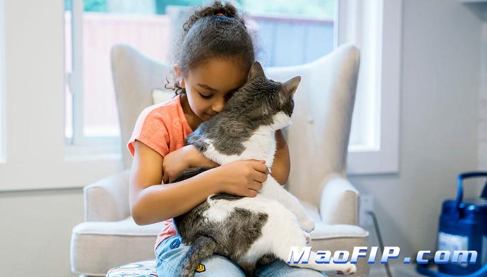 猫传染性腹膜炎疫苗