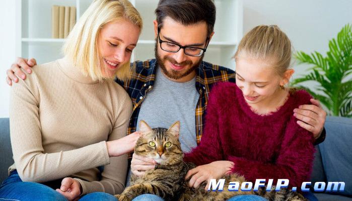 干性猫传腹后期症状