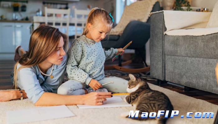 猫传腹复发的话大概在多久哪