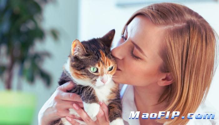 猫传腹治疗中突然变差怎么办