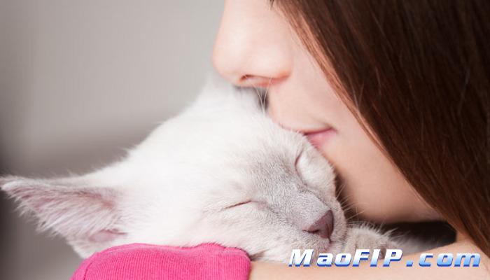 猫传腹用药后指标波动要紧吗