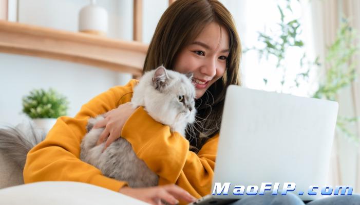 猫传腹的治愈率高吗