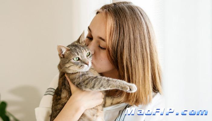 猫咪日常哪些变化最像传腹