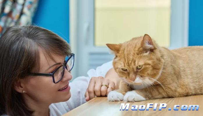 猫传腹治好大概多少钱