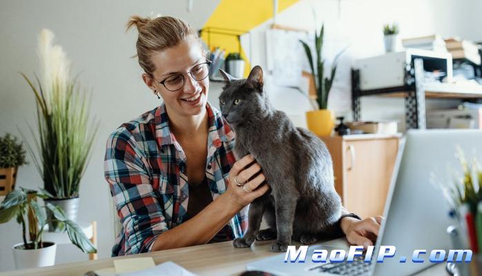 猫传腹一般几天看出来