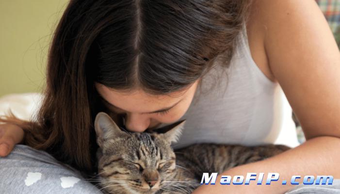 主人如何配合医生判断传腹