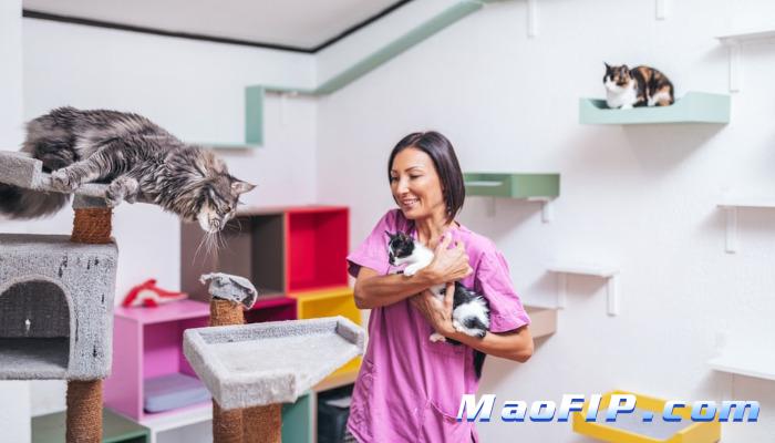 猫传腹早期怎么治疗