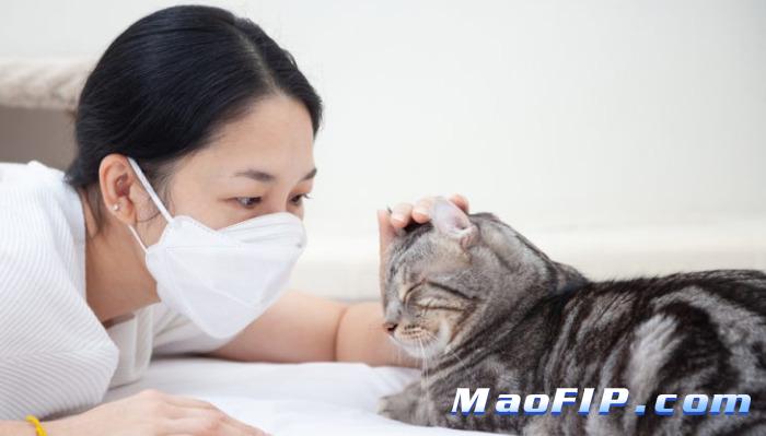湿性猫传腹的症状