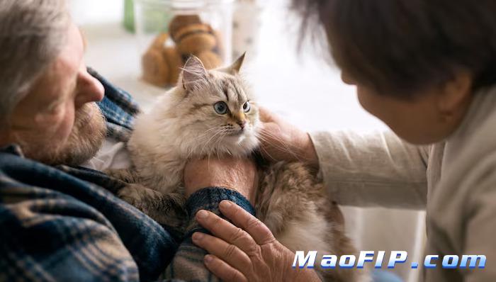 猫传染性腹膜炎怎么确诊