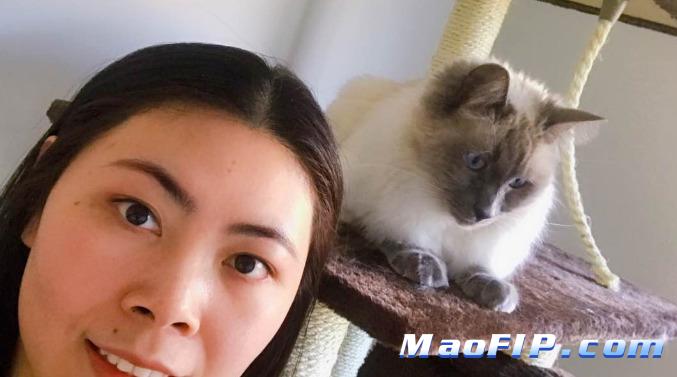 猫传腹和营养不良有没有关系