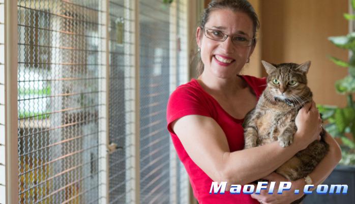 猫传腹不治疗能活多久会严重