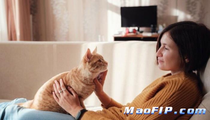 猫传腹症状需要每天记录吗