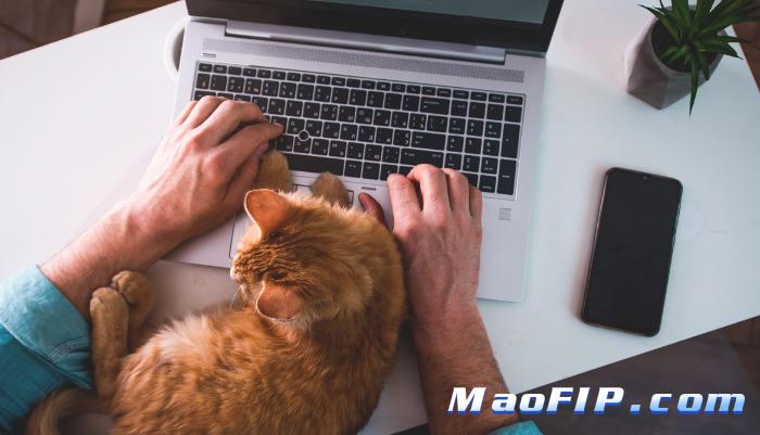 441猫传腹的作用机理