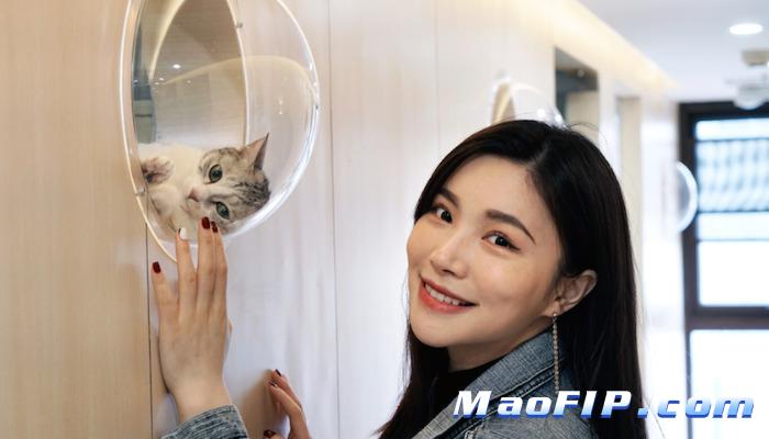 猫传腹(FIP)打GS-441524白球比老上不去