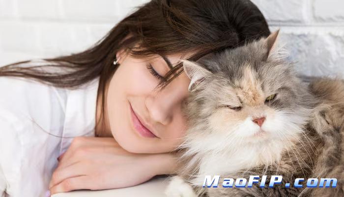 猫传腹一定要抽腹水吗