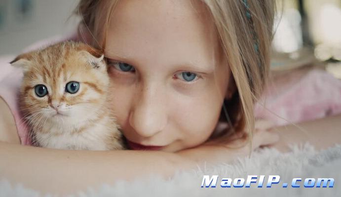 猫传腹441是什么成分