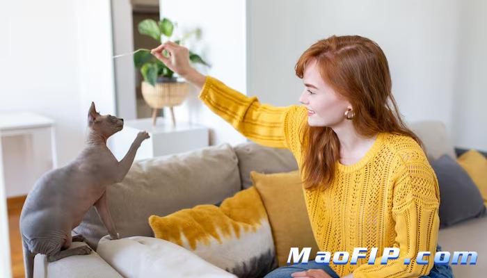 猫传腹的症状和体征