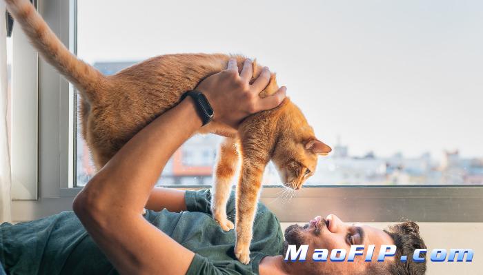 猫传腹治疗疗程