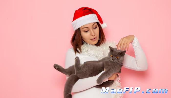 猫传染性腹膜炎传染途径有哪些