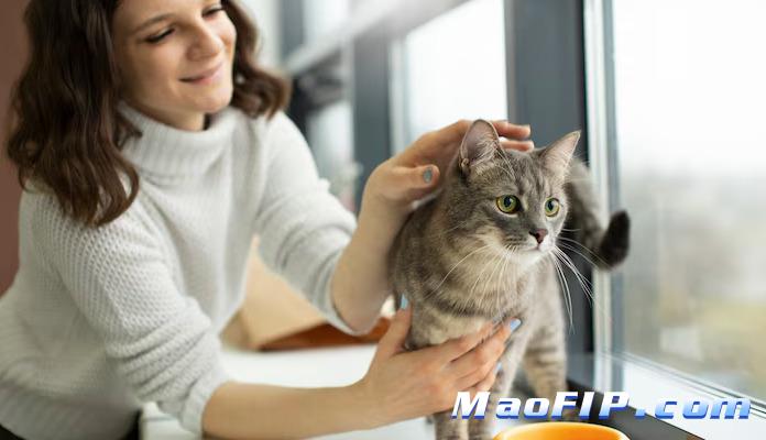 干性猫传腹治愈率怎么样啊