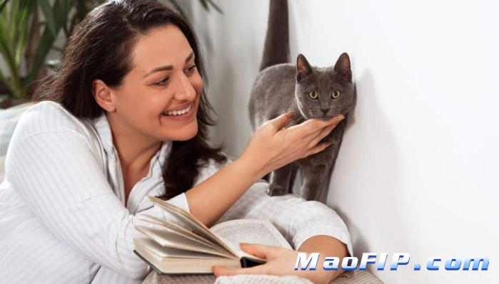 猫传腹的预防措施