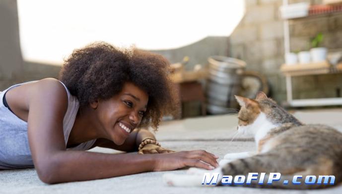 猫传腹后期能治好吗