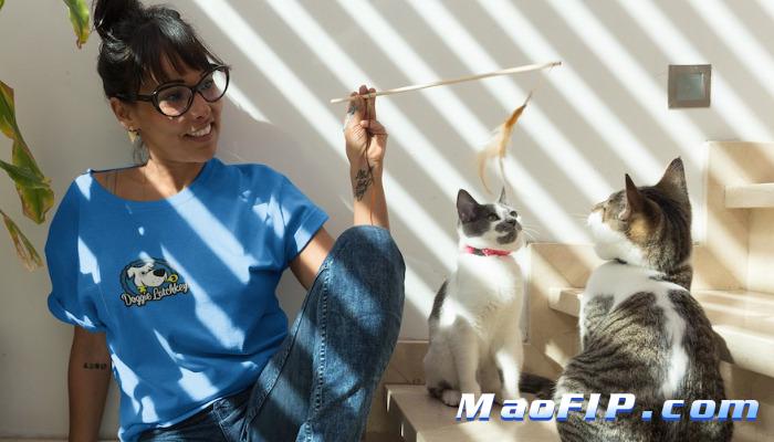 干性猫传腹误诊的可能性有多大