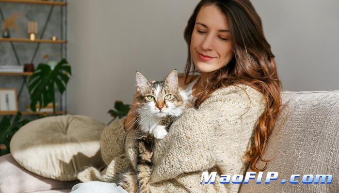 猫传染性腹膜炎治好后主人需要注意什么