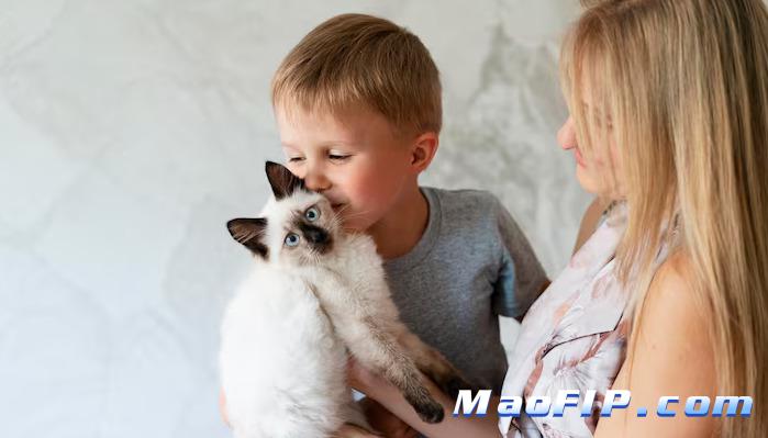 猫传腹的病毒感染机制