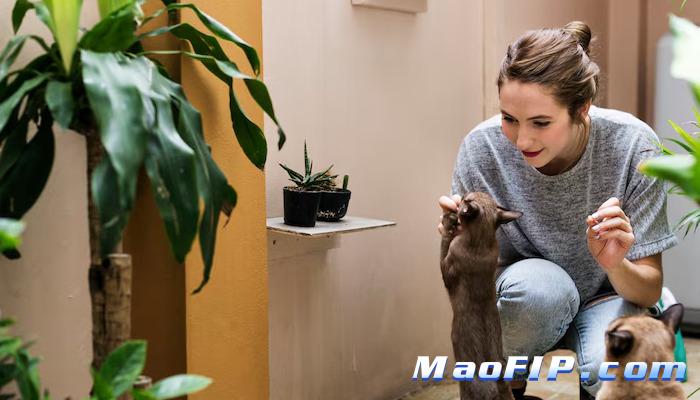 猫传腹家里要消毒吗会传染吗