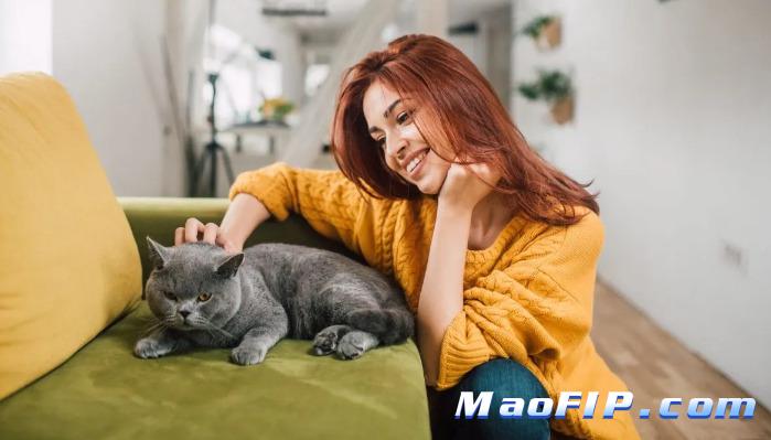 猫传腹(FIP)治好后复发率