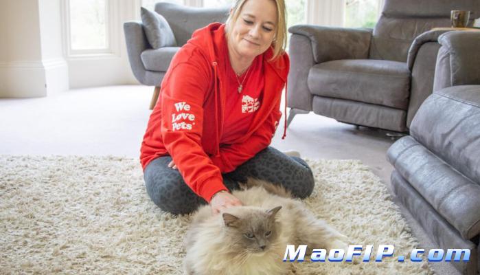 猫猫传染性腹膜炎怎么治疗