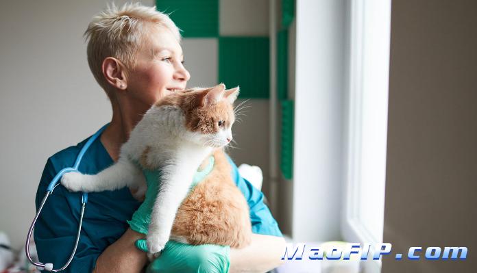 猫传腹会对人有影响吗