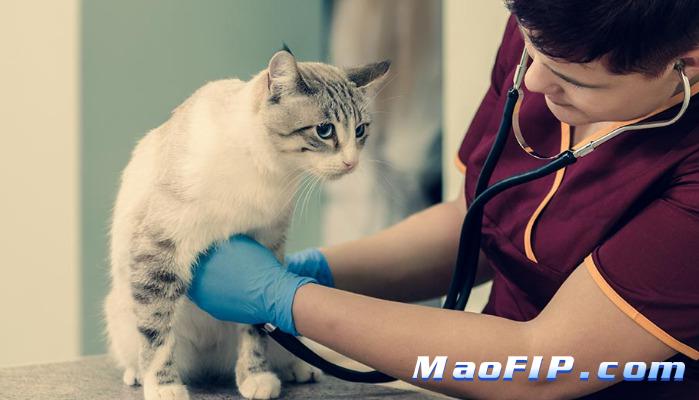 猫传腹通过人传染么