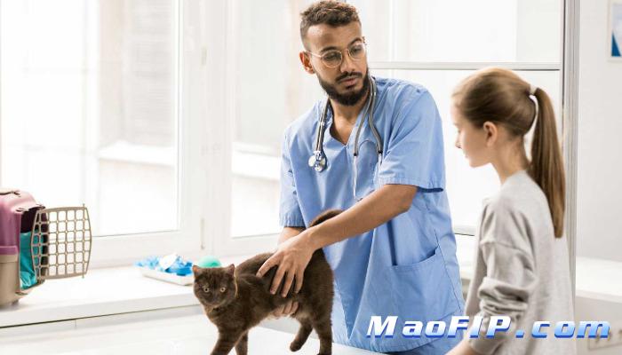 猫传腹能完全治愈吗