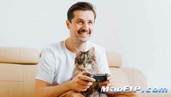 猫传腹的症状和表现都有哪些