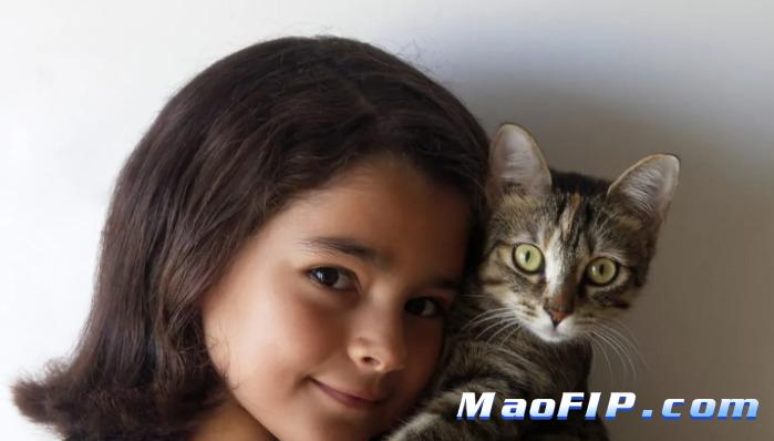 猫传腹用药期间会不会伤肝