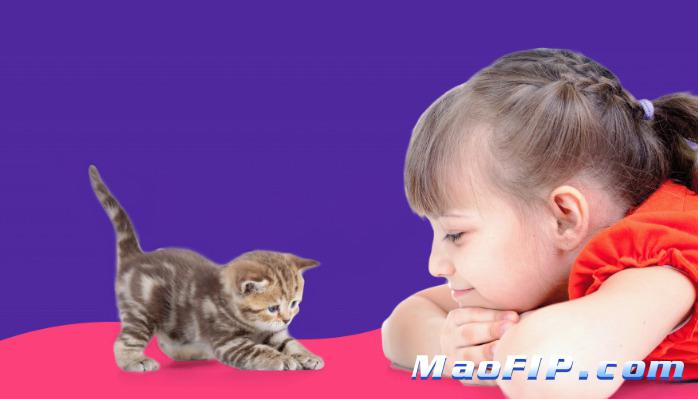 猫传腹用药期间可以换粮吗