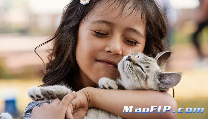 猫传腹和肠炎有什么差别