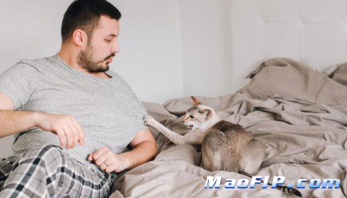 猫传腹的临床疗效评估