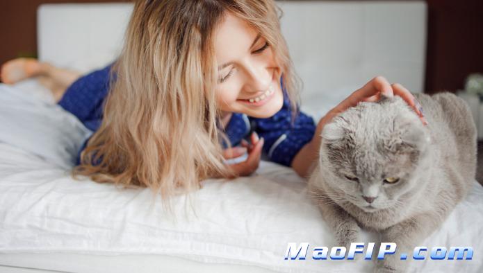 如何给猫咪减少心理压力